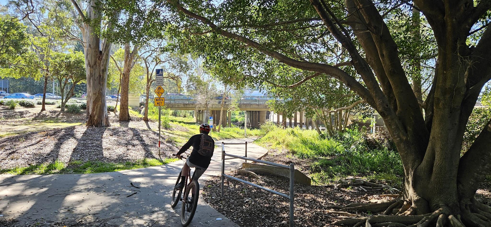 A rider approaching the path that takes the Cabbage Tree Creek bikeway under Gympie Road at Aspley.